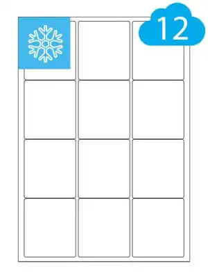 Freezer Labels - 12 Per A4 Sheet For Frozen Food - 63.5 x 72mm - CL1263DF